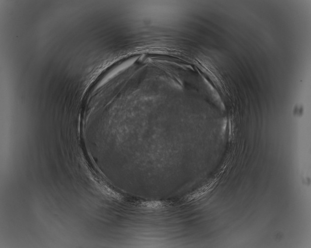 X0000088850301200706291501