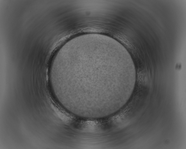 X0000088850302200706291501