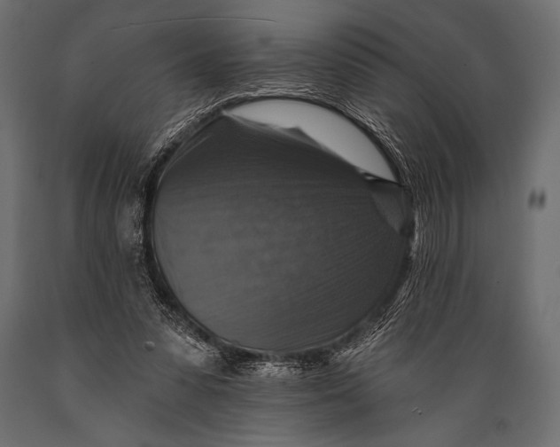 X0000088850303200706291501