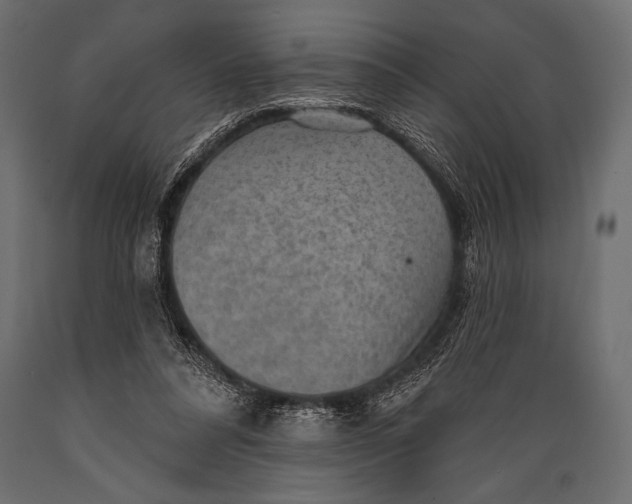 X0000088850304200706291501