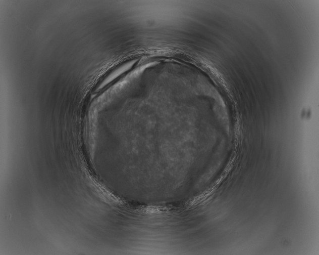 X0000088850305200706291501