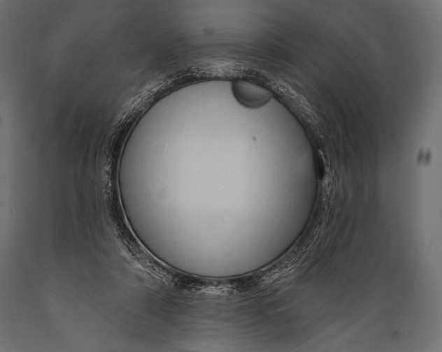 X0000088850306200706291501