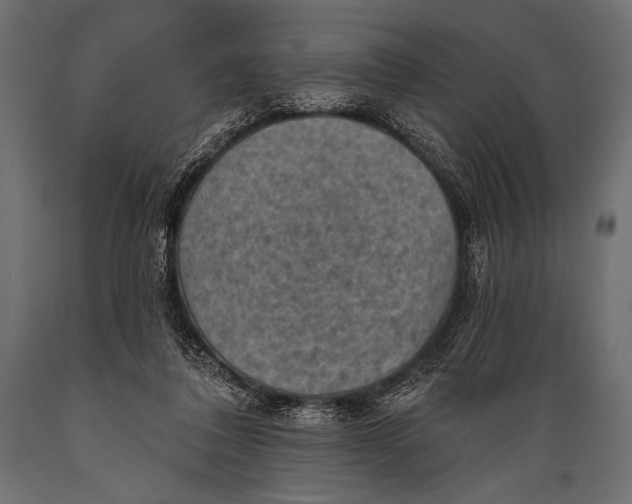 X0000088850308200706291501