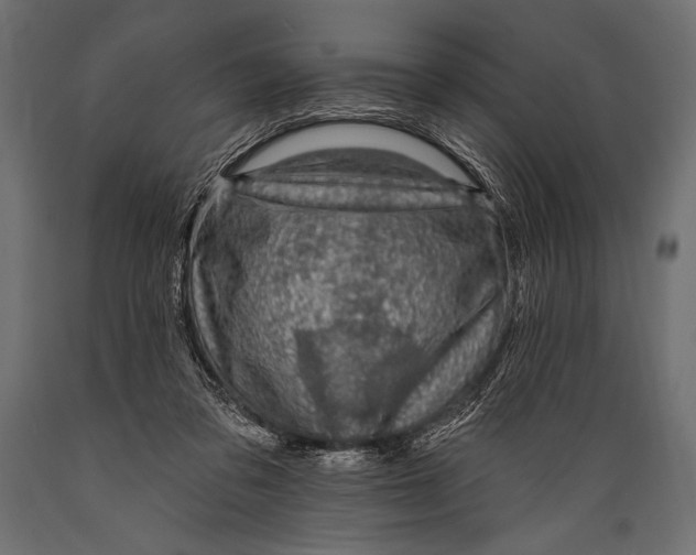 X0000088850309200706291501