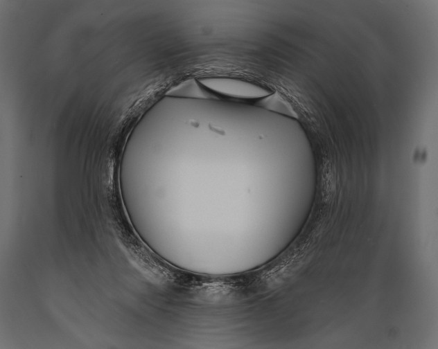 X0000088850310200706291501