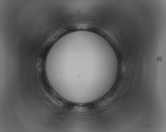 X0000088850311200706291501