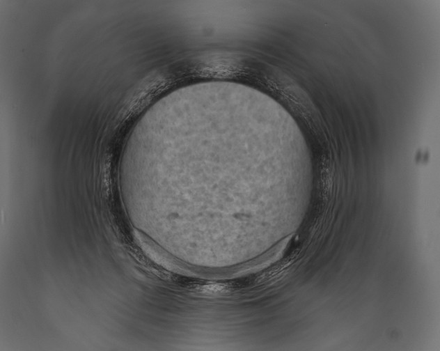 X0000088850312200706291501