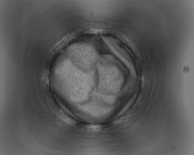 X0000088850313200706291501