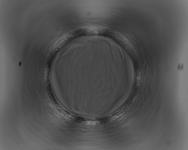 X0000088850314200706291501