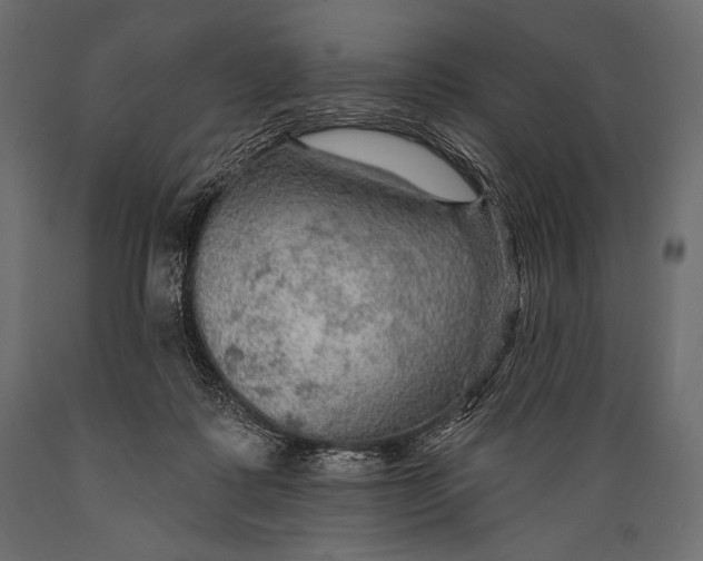 X0000088850315200706291501