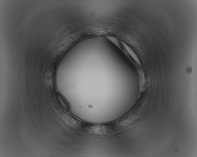 X0000088850317200706291501