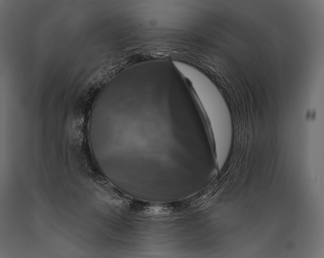 X0000088850319200706291501