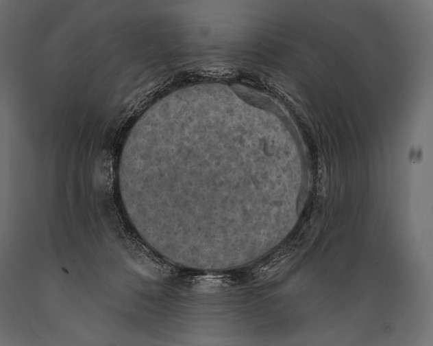 X0000088850320200706291501