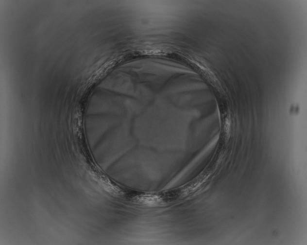 X0000088850322200706291501