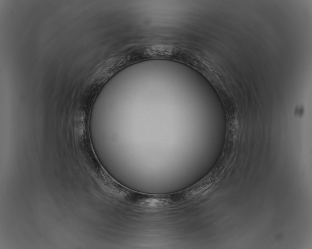 X0000088850323200706291501