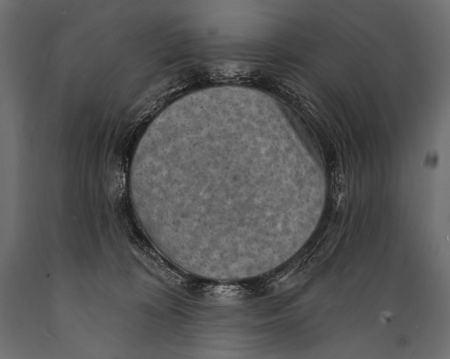 X0000088850324200706291501