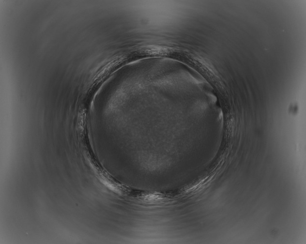 X0000088850325200706291501