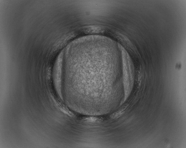 X0000088850326200706291501