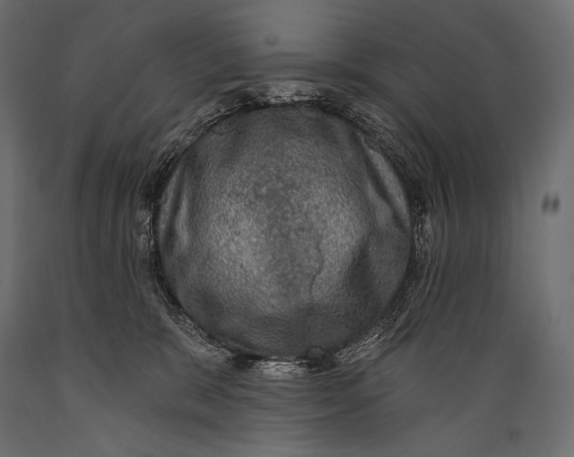 X0000088850327200706291501