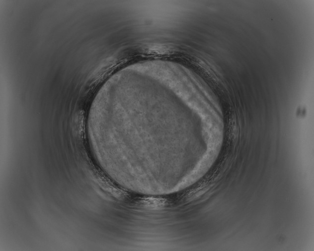 X0000088850328200706291501