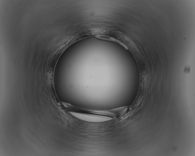 X0000088850329200706291501