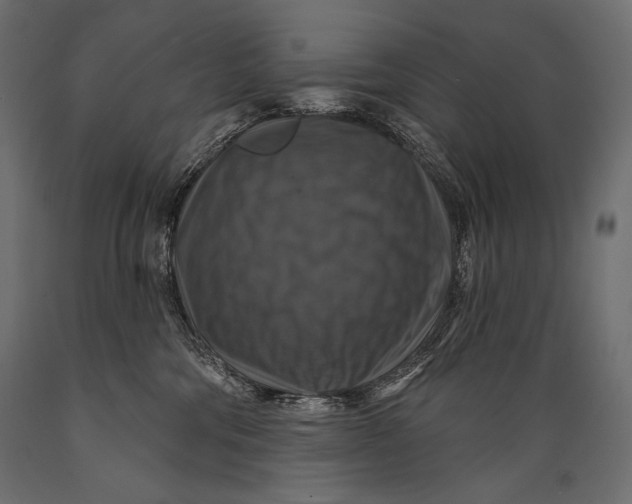 X0000088850330200706291501