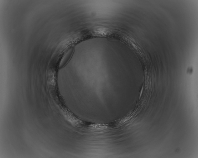 X0000088850331200706291501