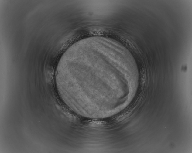 X0000088850332200706291501