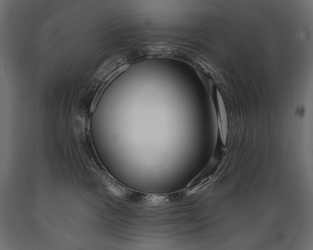 X0000088850333200706291501