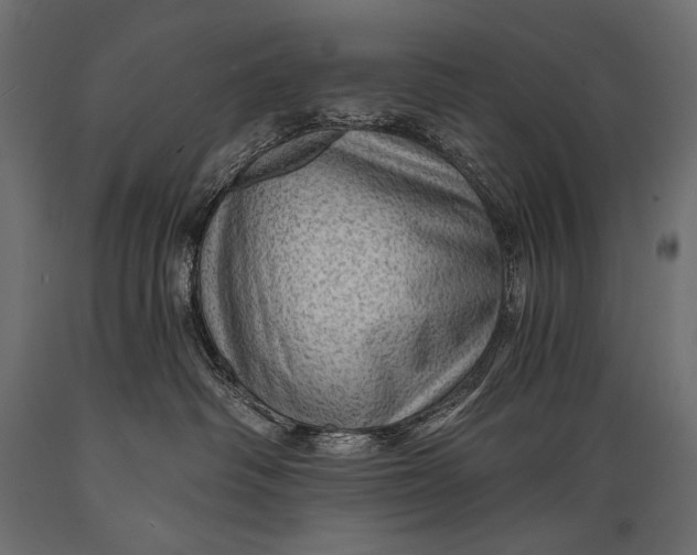 X0000088850334200706291501