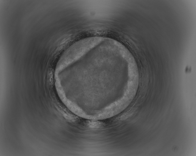 X0000088850336200706291501