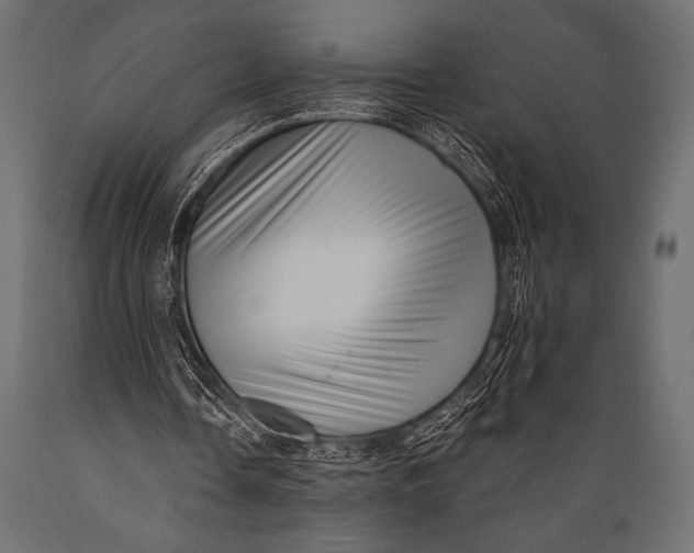 X0000088850338200706291500