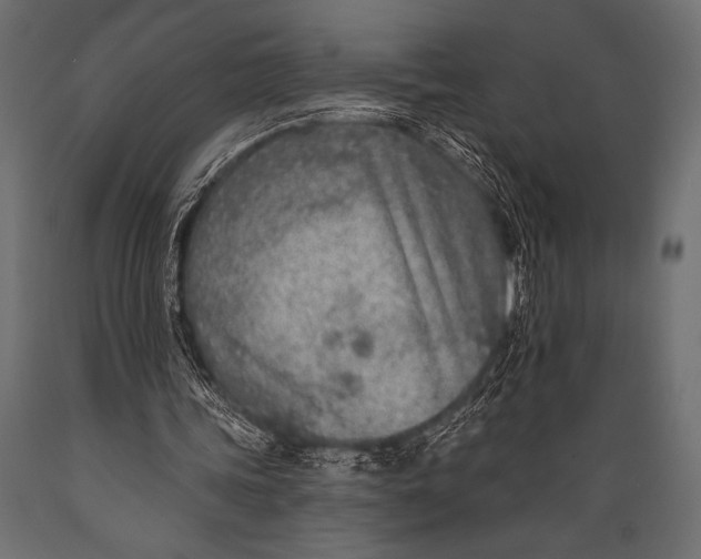 X0000088850339200706291500