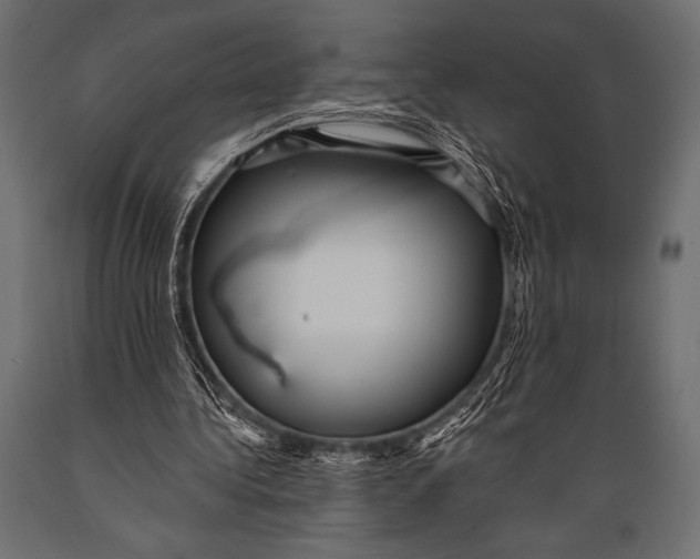 X0000088850340200706291500