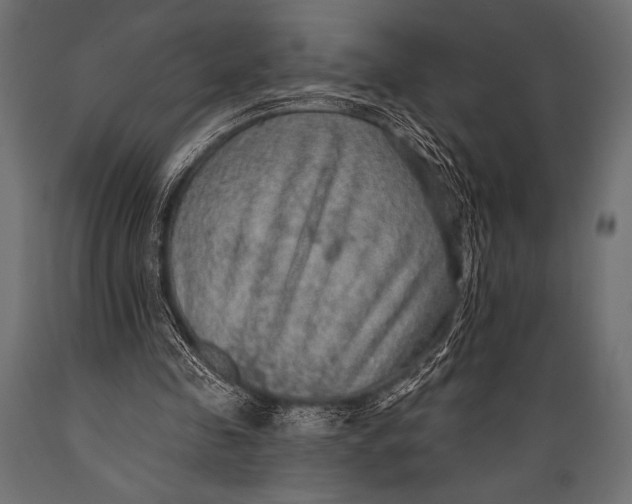 X0000088850341200706291500