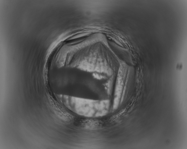 X0000088850343200706291500