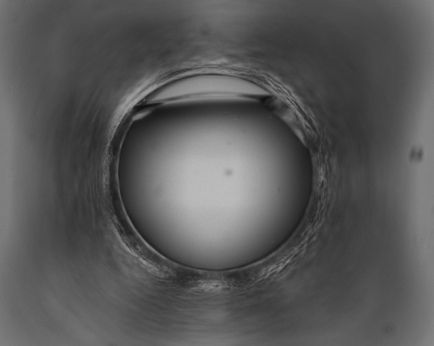 X0000088850344200706291500