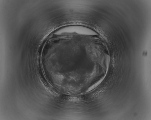 X0000088850347200706291500