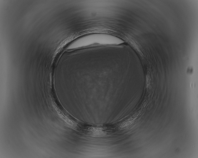 X0000088850349200706291500