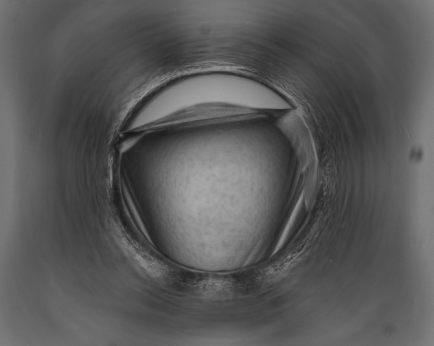 X0000088850350200706291500