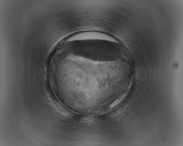 X0000088850351200706291500