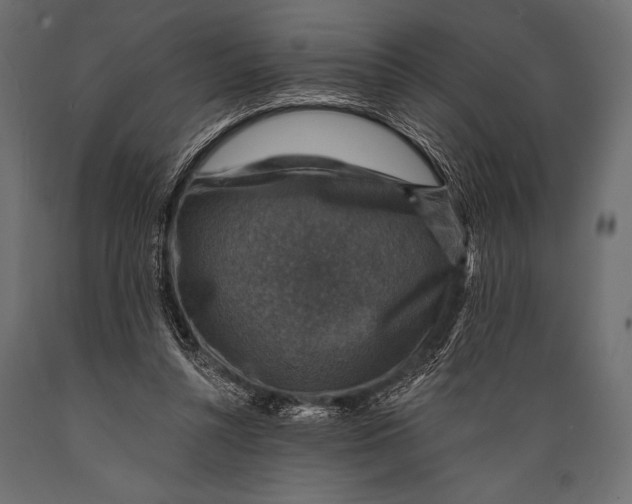 X0000088850352200706291500