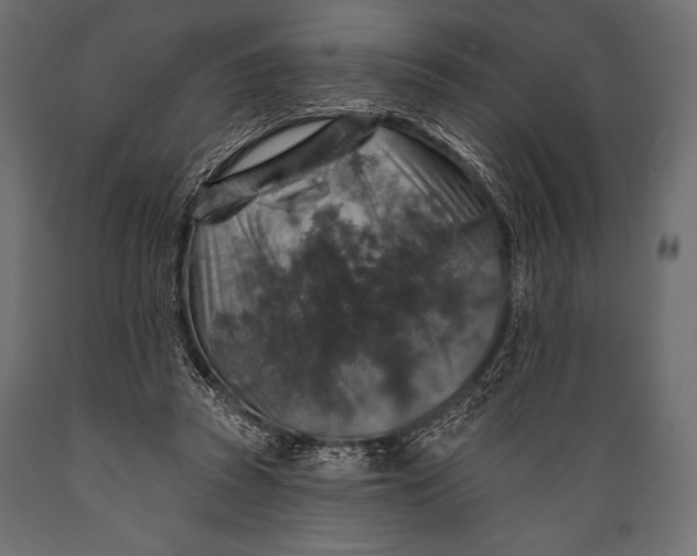 X0000088850353200706291500