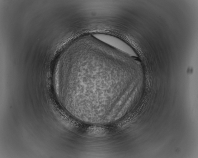 X0000088850354200706291500