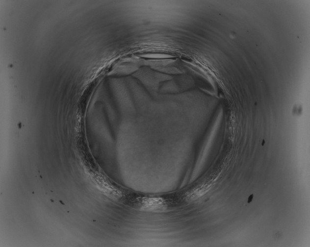 X0000088850355200706291500