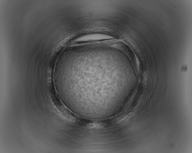 X0000088850356200706291500