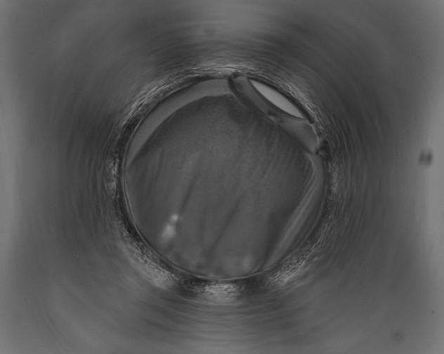 X0000088850357200706291500