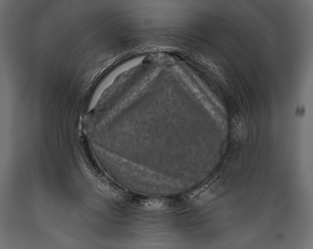 X0000088850358200706291500