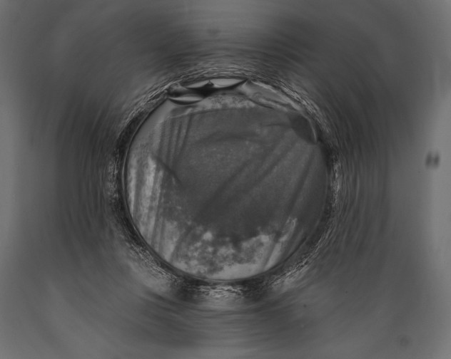 X0000088850359200706291500