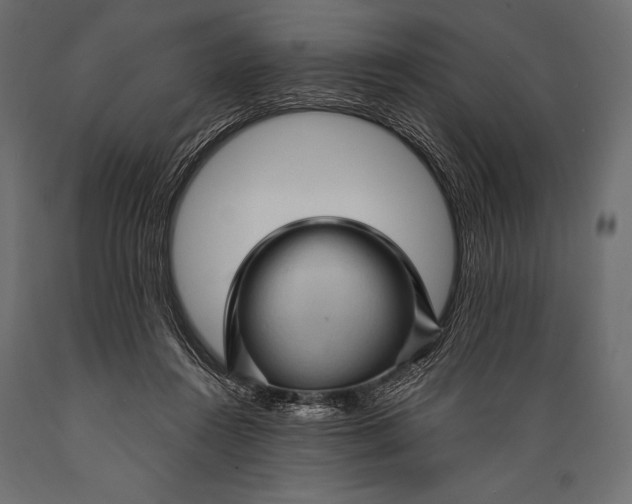 X0000088850360200706291500